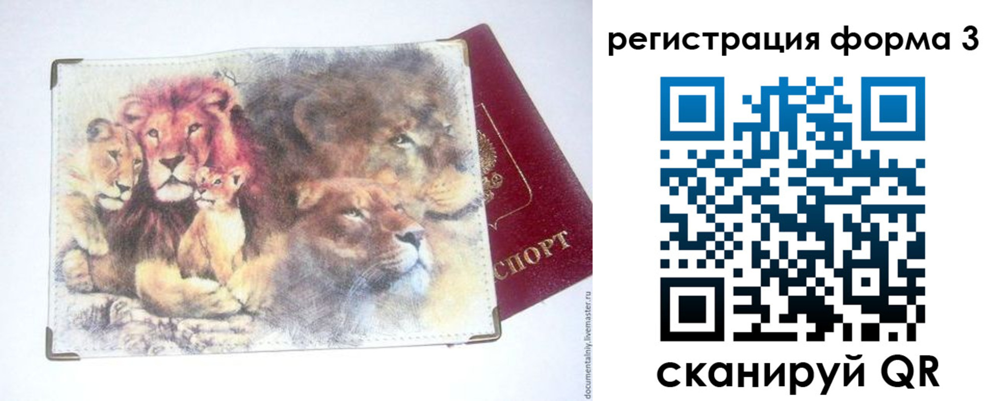 прописка в квартире в Троицке